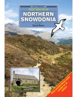 Best Walks in Northern Snowdonia Kittiwake