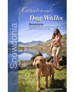 Countryside Dog Walks Snowdonia