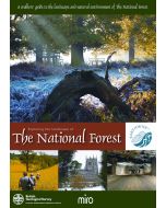Exploring the Landscape of The National Forest