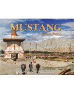 Mustang Paradise Found