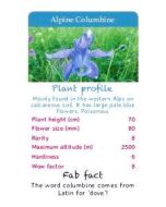 Top Wildflowers of Britain and Europe Trump Cards