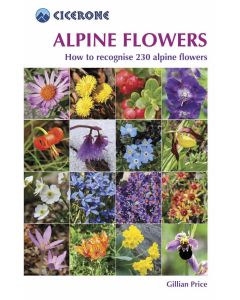 Alpine Flowers