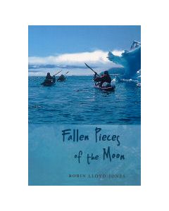 Fallen Pieces of the Moon