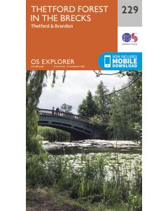 Thetford Forest in the Brecks