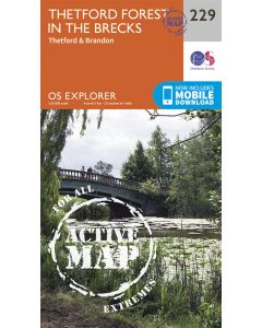 Thetford Forest in the Brecks