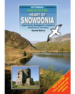 Walks in the Heart of Snowdonia Kittiwake