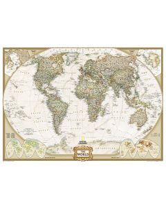 World Executive Map Mural